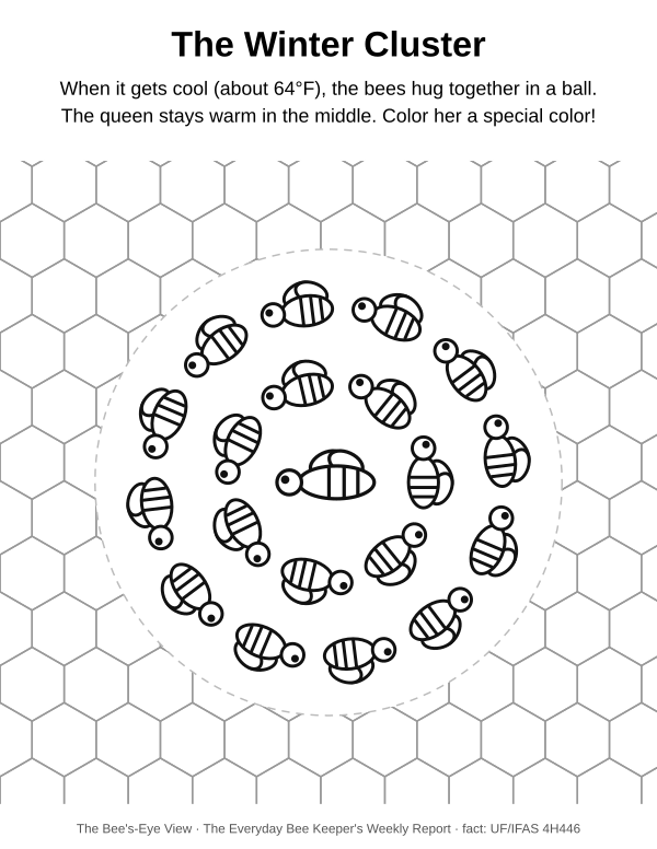 Coloring page: The Winter Cluster, bees hugging around their queen on honeycomb